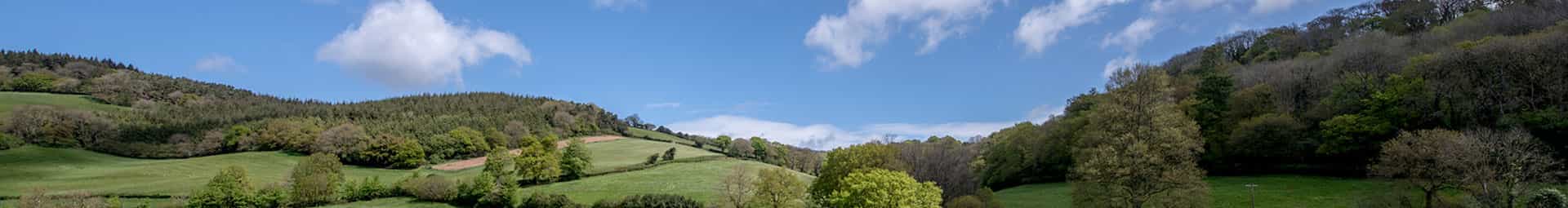 Taunton Countryside